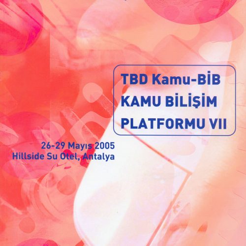 TBD KAMU-BİB KAMU BİLİŞİM PLATFORMU VII ÇALIŞMA GRUBU RAPORLARI