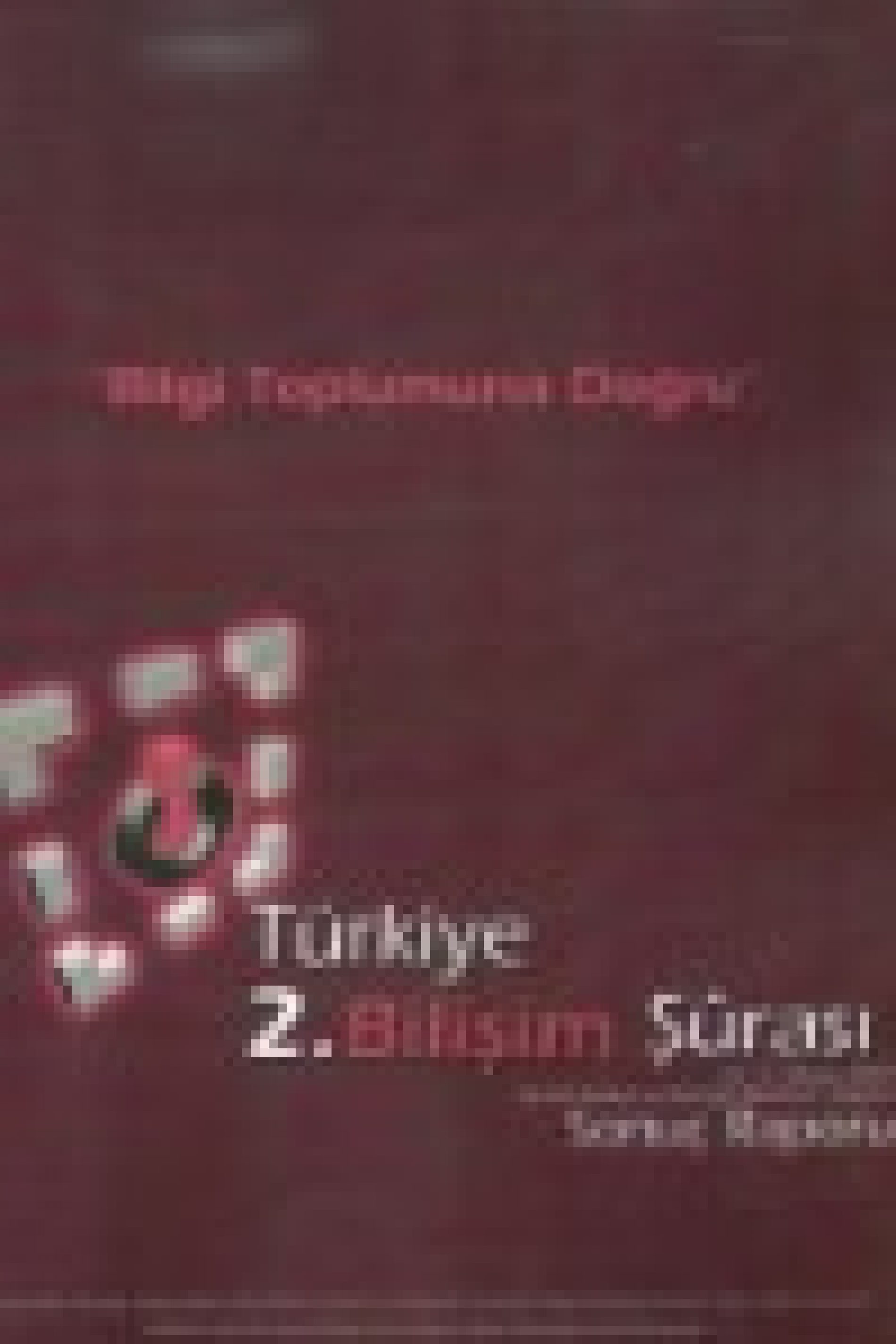 TÜRKİYE BİLİŞİM ŞURASI 2004