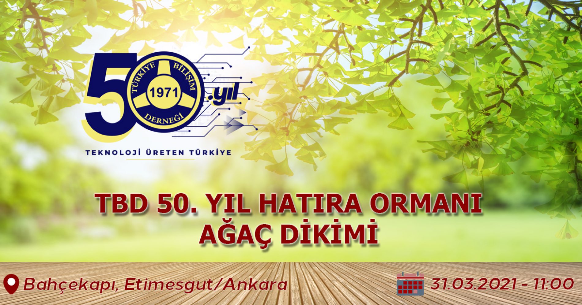 50. Yıl Hatıra Ormanı Ağaç Dikimi
