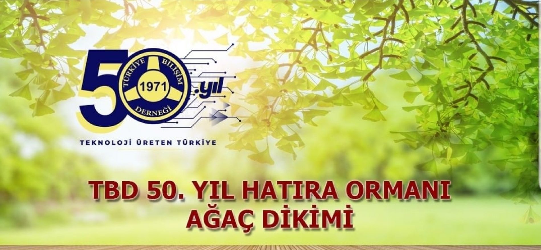 TBD İstanbul 50. Yıl Hatıra Ormanı Ağaç Dikimi Etkinliği
