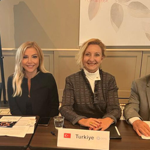 24 Kasım 2022 Tarihinde Brüksel’de Yapılan CEPIS (Council of European Professional Informatics Societies) 69. Genel Kuruluna TBD’yi Temsilen TBD Genel Başkanı Rahmi Aktepe Katılmıştır
