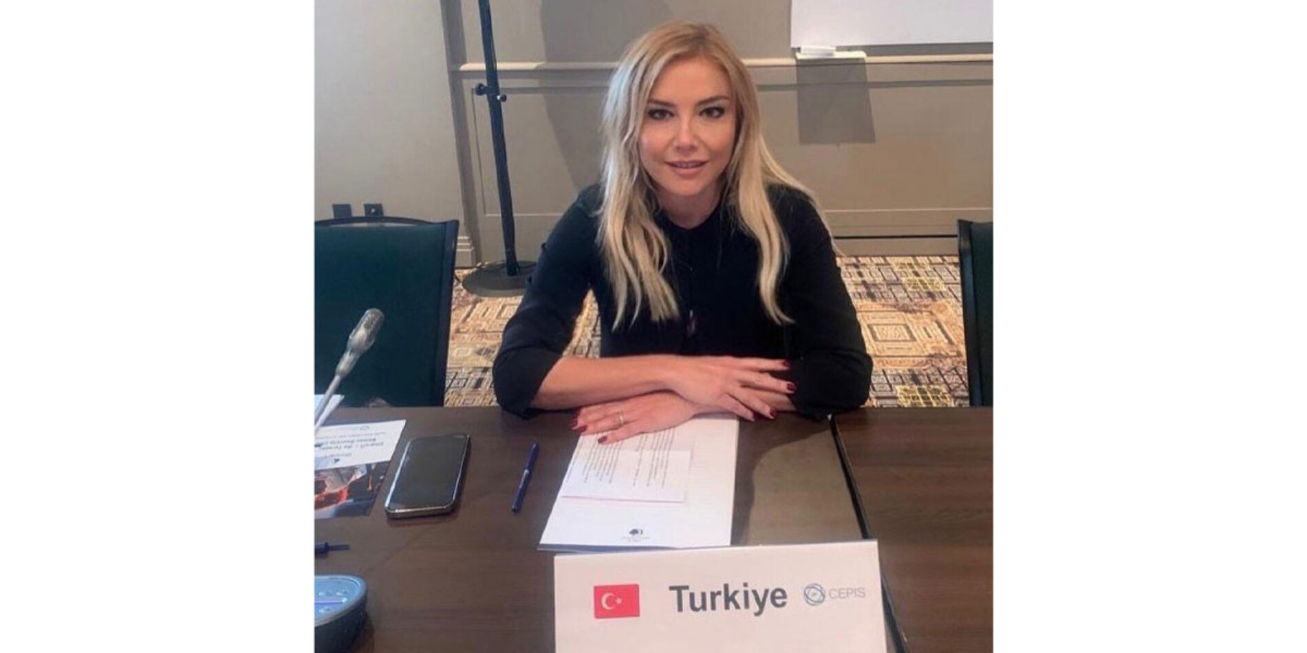 Türkiye Bilişim Derneği (TBD) Merkez Yönetim Kurulu Üyemiz Doç. Dr. Meltem Eryılmaz, Avrupa Profesyonel Bilişim Dernekleri Konseyi (The Council of European Professional Informatics Societies-CEPIS) Yönetim Kuruluna Seçildi