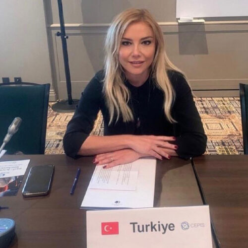 Türkiye Bilişim Derneği (TBD) Merkez Yönetim Kurulu Üyemiz Doç. Dr. Meltem Eryılmaz, Avrupa Profesyonel Bilişim Dernekleri Konseyi (The Council of European Professional Informatics Societies-CEPIS) Yönetim Kuruluna Seçildi
